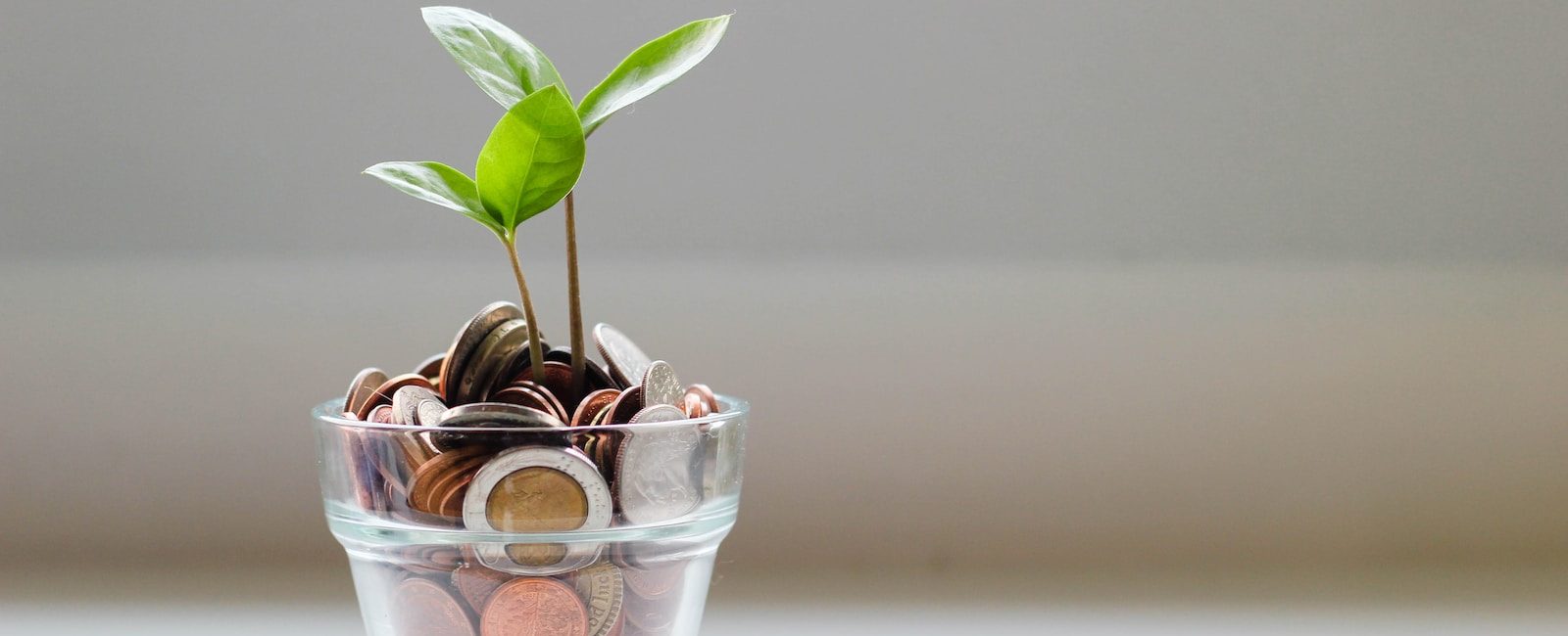 Small plant growing in glass of coins, symbolising financial growth and investment potential on bright white background